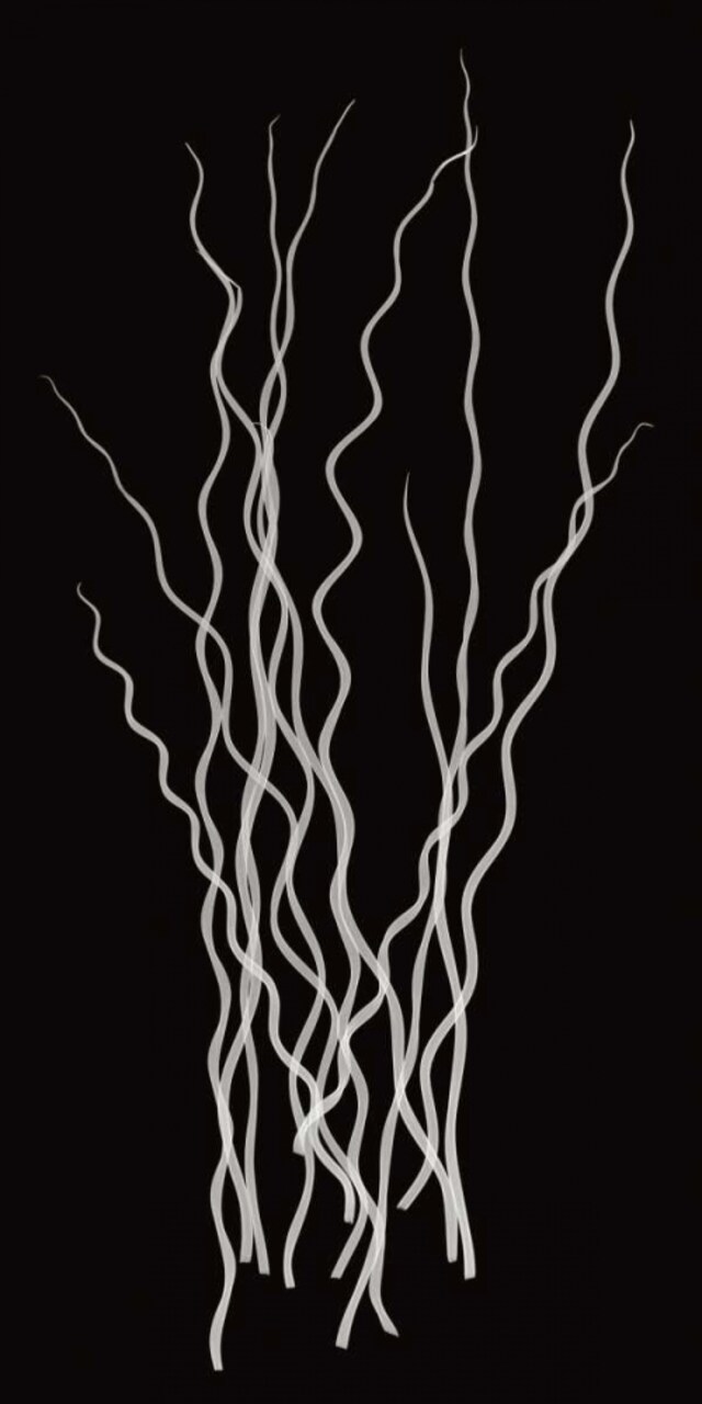 Three Rushes Poster Print by Jim Wehtje - Item # VARPDX12291A